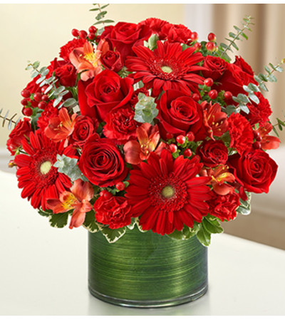 Cherished Memories - All Red Cherished Memories - All Red