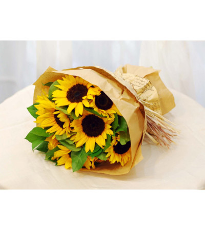 All About Sunflowers All About Sunflowers