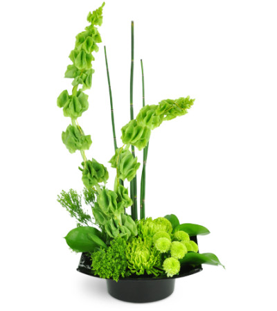 Emerald Zen Emerald Zen