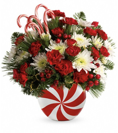 Teleflora's Candy-Striped Christmas Bouquet Teleflora's Candy-Striped Christmas Bouquet