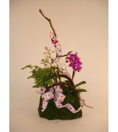 Mini Orchids in a Purse (Medium) Mini Orchids in a Purse (Medium)