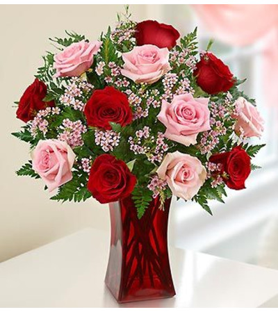 Half and Half Red and Pink Half and Half Red and Pink