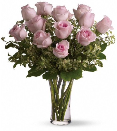 A Dozen Pink Roses A Dozen Pink Roses