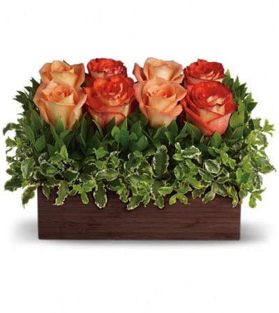 Teleflora's Uptown Bouquet Teleflora's Uptown Bouquet