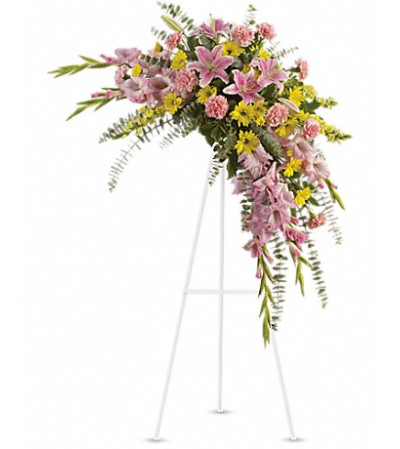 PASTEL SOLACE SPRAY PASTEL SOLACE SPRAY