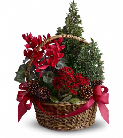Tannenbaum Basket Tannenbaum Basket