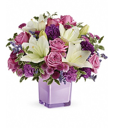 lavender blooms lavender blooms