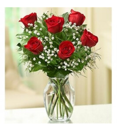 Rose Elegance™ Premium Red Roses - 1/2 Dozen Rose Elegance™ Premium Red Roses - 1/2 Dozen