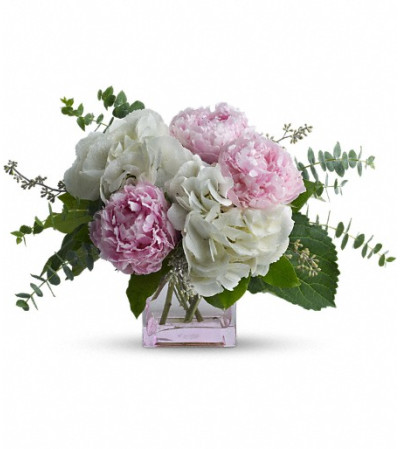 Teleflora's Pretty in Peony Teleflora's Pretty in Peony