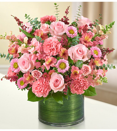 Cherished Memories - All Pink Cherished Memories - All Pink