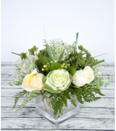White Blush White Blush