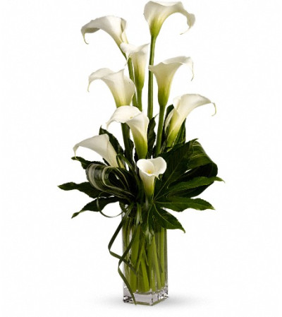 My Fair Lady by Teleflora My Fair Lady by Teleflora