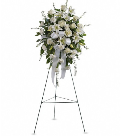 Sentiments of Serenity Spray Sentiments of Serenity Spray