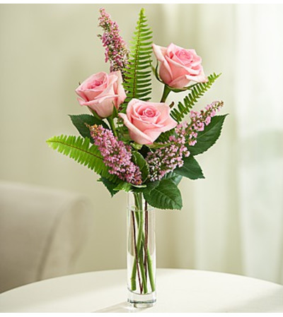 Love’s Embrace™ Roses - Pink Love’s Embrace™ Roses - Pink