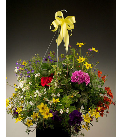 Outdoor Hanging Basket Outdoor Hanging Basket
