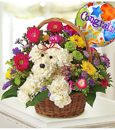 a-DOG-able® in a Basket - Congrats a-DOG-able® in a Basket - Congrats