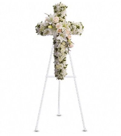 Divine Light Tribute Divine Light Tribute