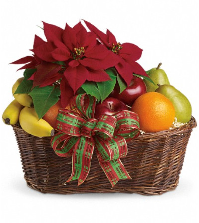 Fruit and Poinsettia Basket Fruit and Poinsettia Basket