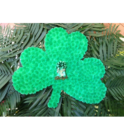 Three Leaf Clover Three Leaf Clover