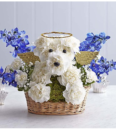 All Dogs go to Heaven™ All Dogs go to Heaven™