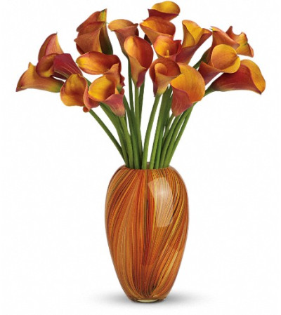 Teleflora's Glorious Grandeur Bouquet Teleflora's Glorious Grandeur Bouquet
