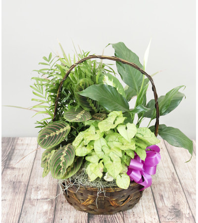 Secret Garden Basket Secret Garden Basket