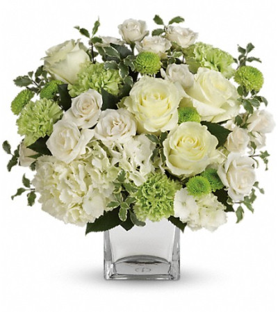 Teleflora's Shining On Bouquet Teleflora's Shining On Bouquet