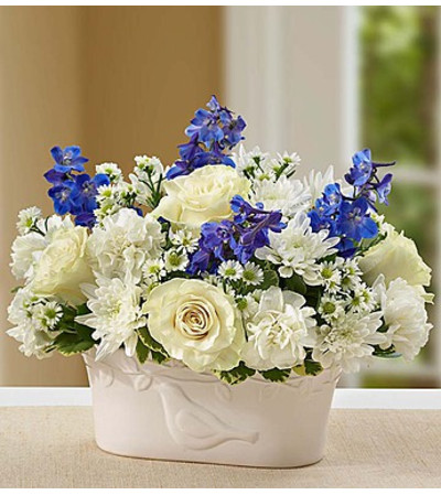 Peace and Healing™ Blue & White Peace and Healing™ Blue & White