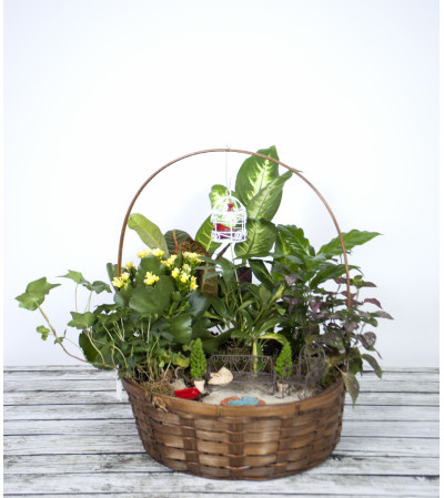 Fire Pit Fairy Garden Fire Pit Fairy Garden