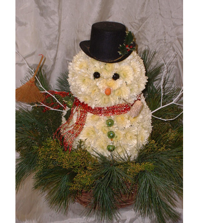 Franklin The Snowman Franklin The Snowman