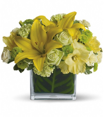 Oh Happy Day by Teleflora Oh Happy Day by Teleflora
