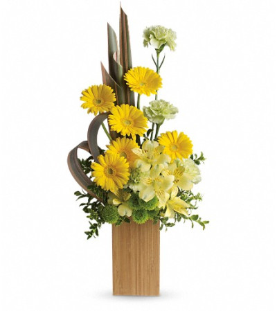 Sunbeams And Smiles by Teleflora Sunbeams And Smiles by Teleflora
