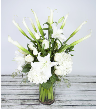 Simply White Simply White