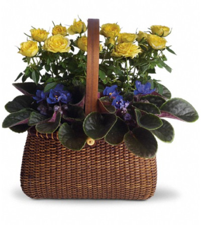 Garden To Go Basket Garden To Go Basket