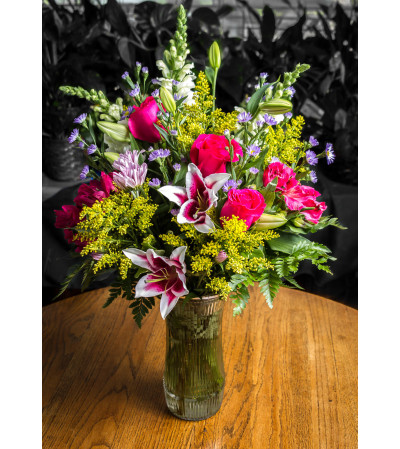 Stargazers & More Stargazers & More