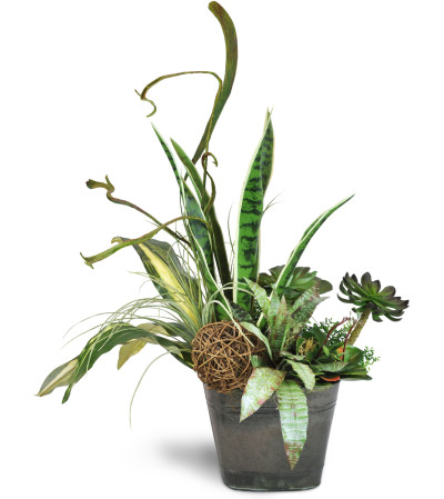 Modern Planter Garden Modern Planter Garden