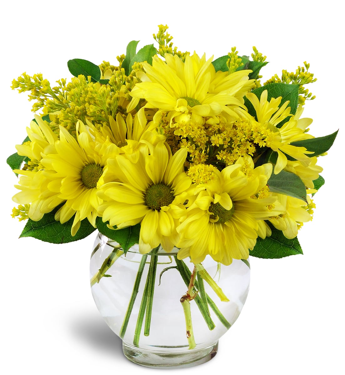 Send Yellow Bouquets Flowers Sudbury On Florist Daisy Dreams