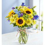 Fields of Europe™ for Summer - Burlington, NC Florist