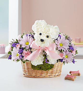Send It's a-DOG-able® Basket Baby Girl in Tomball, TX - Susana's