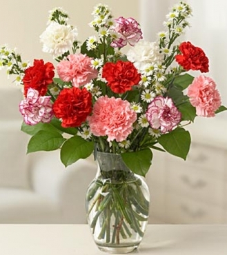 Dozen Mixed Carnations – Salama Greenhouse & Floral