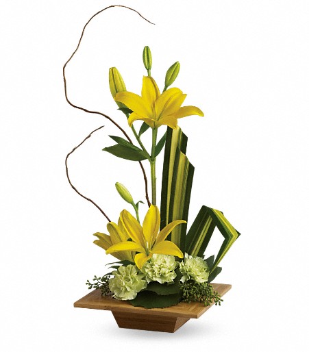 Send Paradise Found in Pompano Beach, FL - Pompano Beach Floral