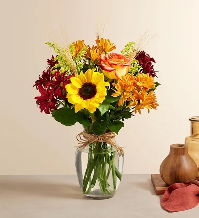 Send Fields of Europe™ for Fall in Charlotte, NC - Lovingly
