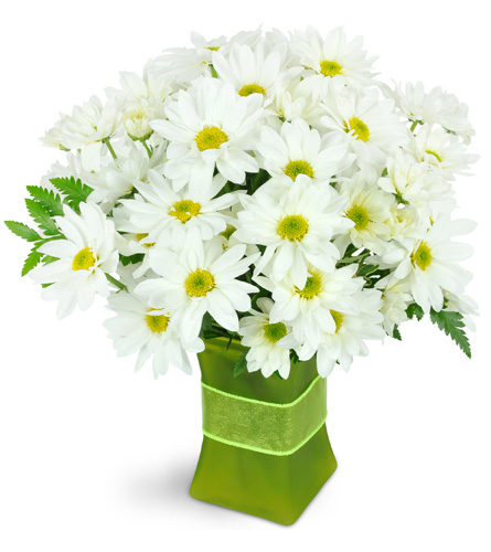 Bloom Flower Delivery Kitchener | Best Flower Site