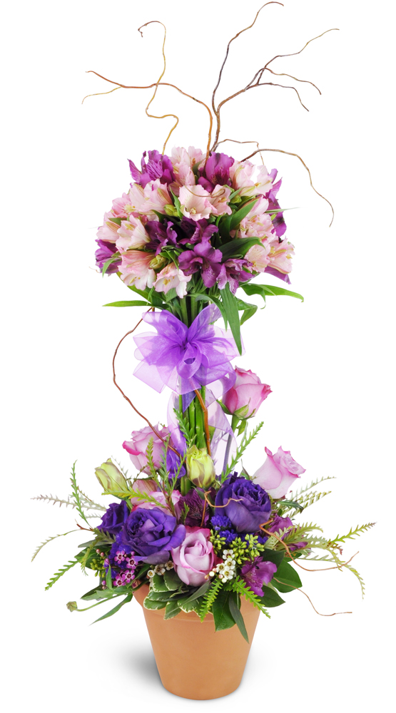 Send Elegant Embrace™ Topiary in Sanford, FL - The Happy Florist