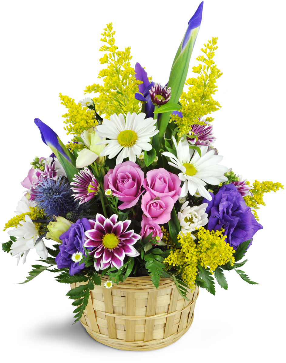 SPRING PROMISES Flower Bouquet in Ovid, NY - Fingerlakes Florist