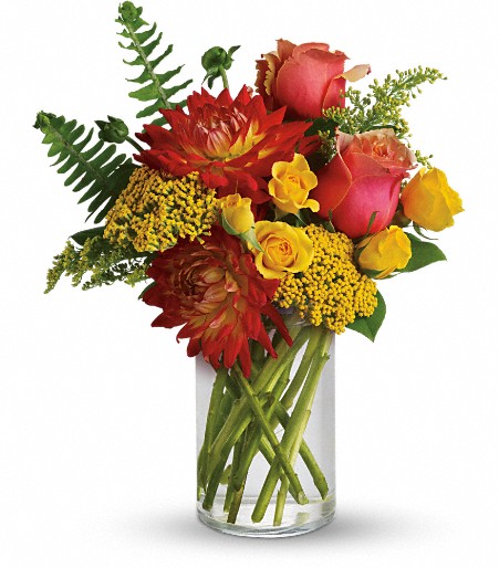 Summer Samba - Send to Edison, NJ Today!