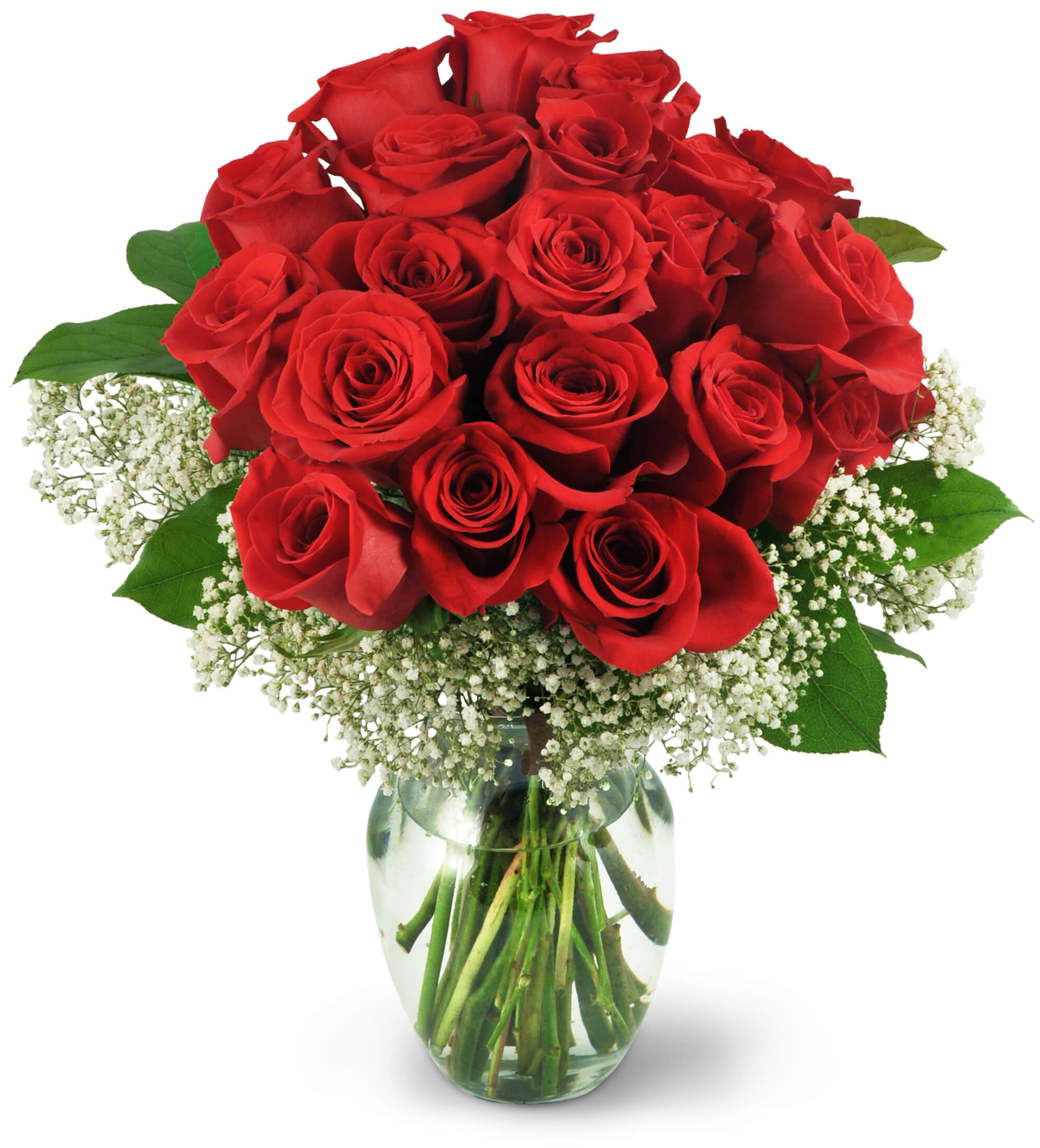 TWO DOZEN RED ROSE BOUQUET (WHITE WRAPPING PAPER)