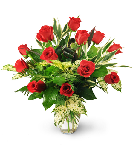 Two Dozen red Roses* – buy online or call 01709 829204