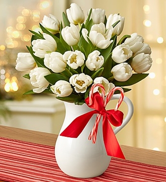 330x370_104983WHz.jpg