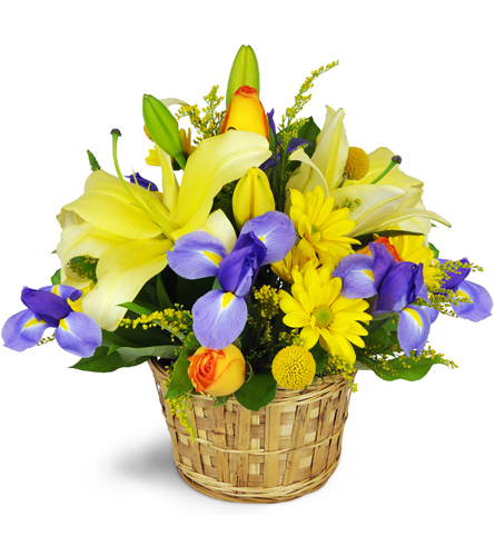 Butterfly Flower Arrangement – H Five Gifts